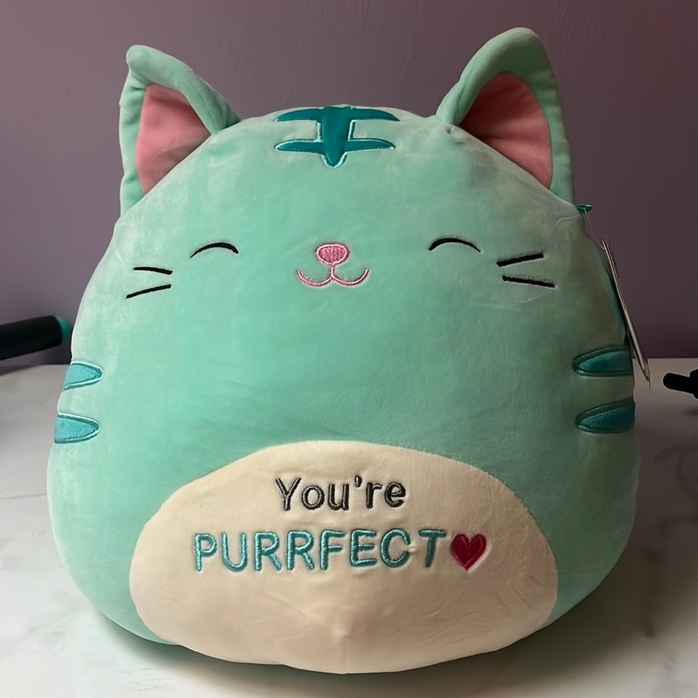 NWT Jules 12” Valentine’s Day edition cat squishmallow